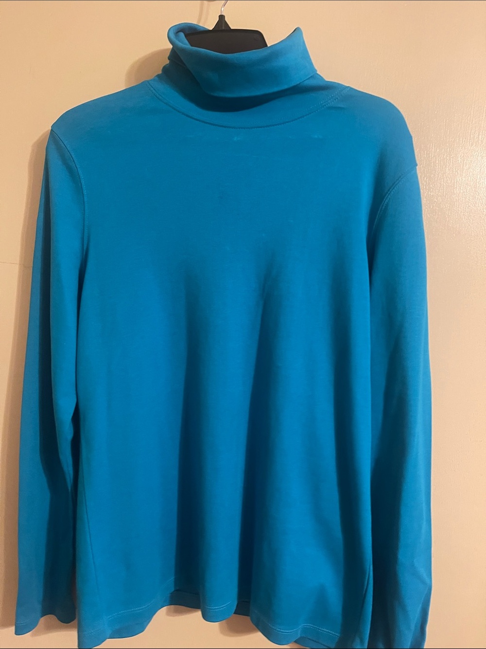 Women’s Turquoise Blue Turtleneck Long Sleeve Top